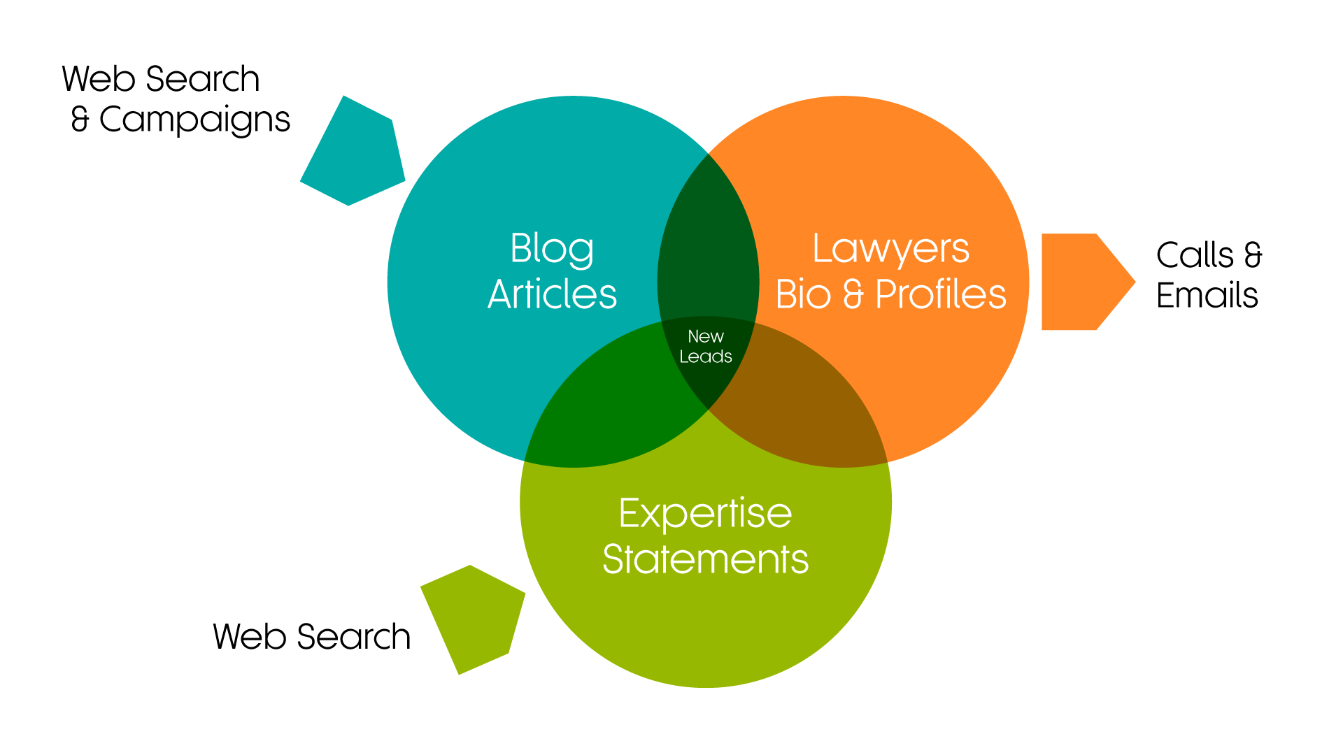 How articles, expertise statements and lawyer profiles can generate leads.